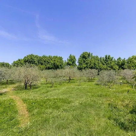 In Valbandon Near Adriatic Appartement