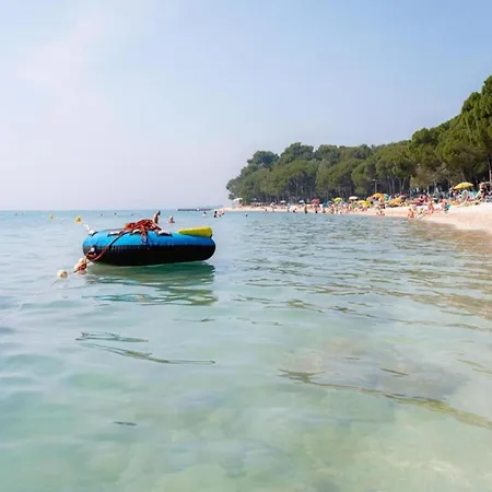 In Valbandon Near Adriatic *