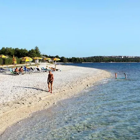 Appartamento In Valbandon Near Adriatic *